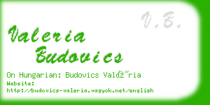 valeria budovics business card